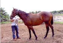 ���ɽ��� (BORYEONG SEUNGJA) ����