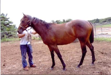 ���ɽ��� ����