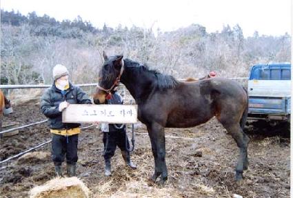 �������� ����