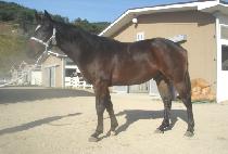 ����˵� (JEONGSANG GWEDO) ����