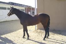 ������ũ (AIR TANK) ����