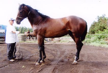 ���鵵�� ����