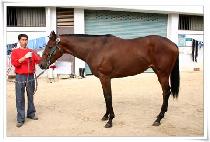 ������ (MUYEONGGAK) ����