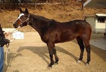 ���� (SEULSAN) ����