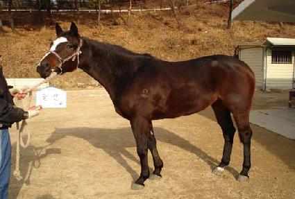 ���� ����