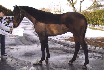 �������� ����