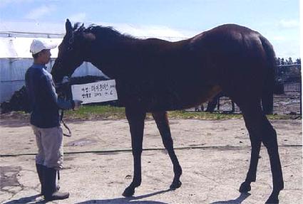 �ݵη� ����