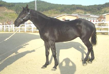 �����ϵ� ����