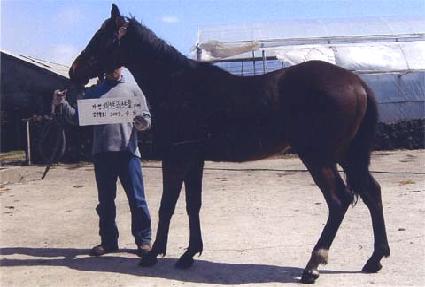 �պ�õ ����