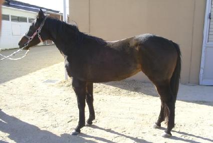 �����ũ ����