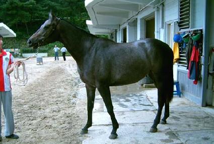 ������Ʈ ����