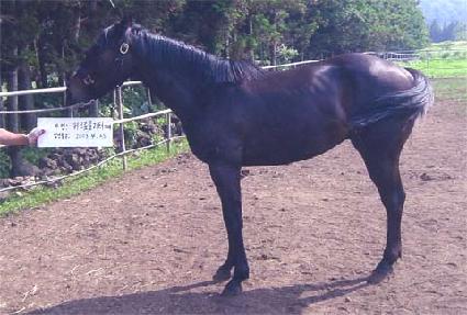 �ϵȭ ����