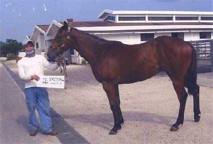 õ�⹮ȭ ����