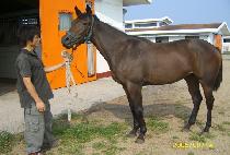 �������� (FREE DANCER) ����