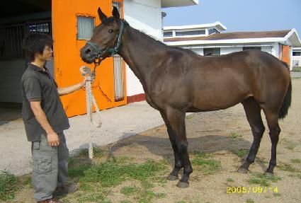 �������� ����