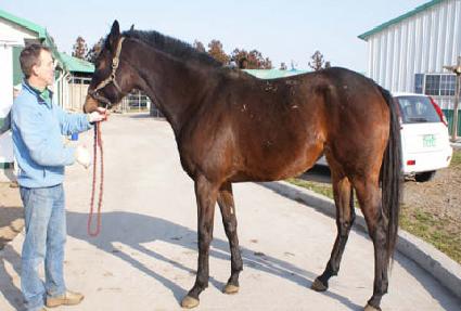 ���ձ� ����