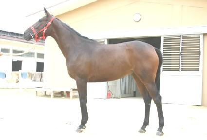 ������ɰ� ����