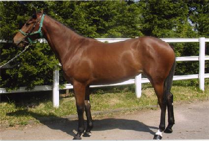 �ݵ���� ����