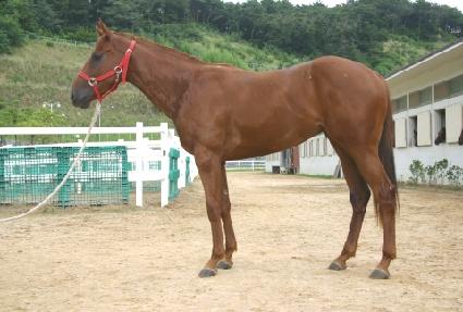 ���ո��� ����