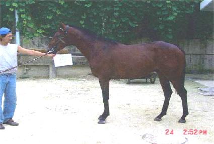 �縣��Ʈ ����