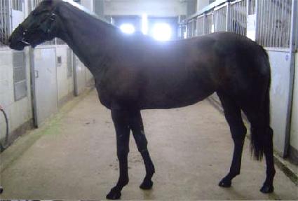 ������� ����