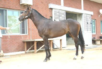 ����û ����