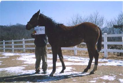 �����ǲ� ����