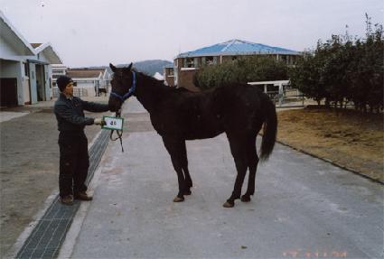 Ž������ ����