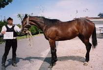 ��Ű������ (LUCKY SMILE) ����