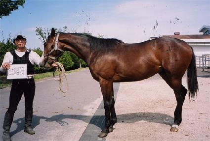 ��Ű������ ����