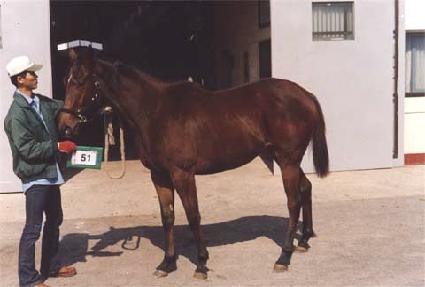 Ȱ�¹��� ����