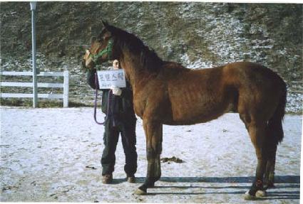 �Ŀ���ƽ ����