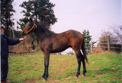 �ְ����� ����