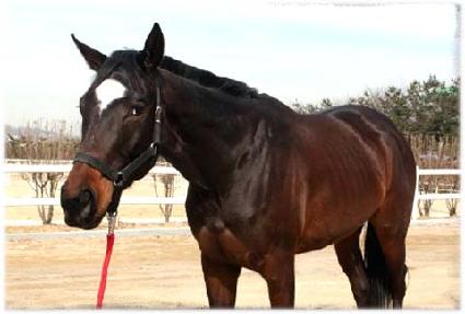 õ�� ����