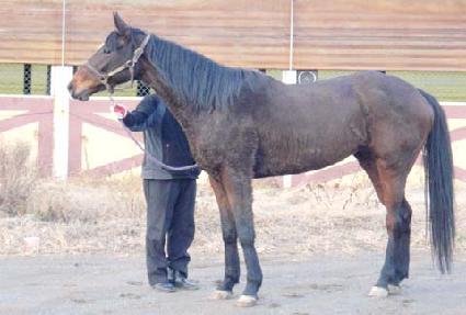 ���´��� ����