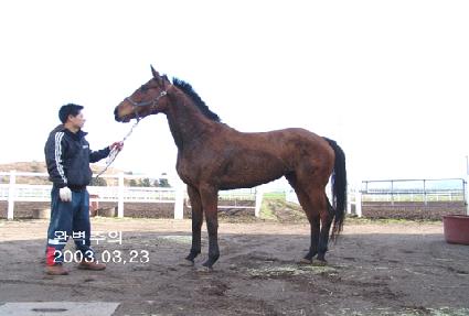 �Ϻ����� ����