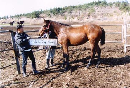 ���η� ����