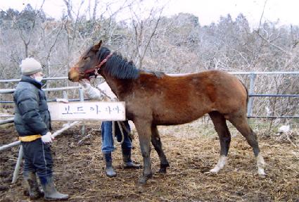 �̹��� ����