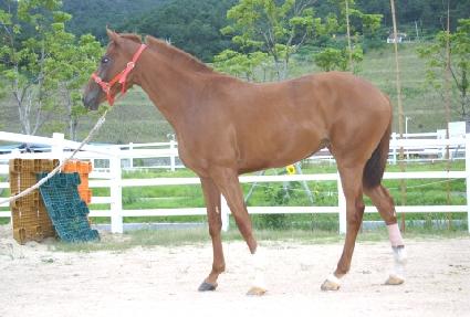 ���ϼ��� ����