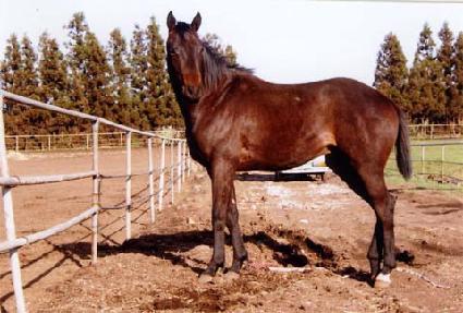 �������� ����