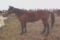 MUHAN GYEONGJI picture