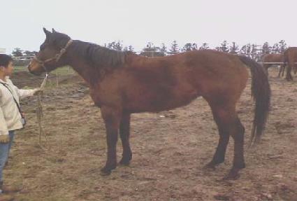 ���Ѱ��� ����