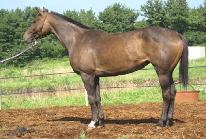 ���� ����