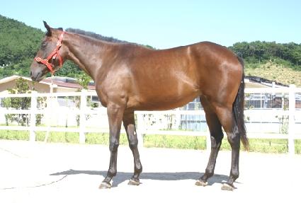 ���Ⱦ߰� ����