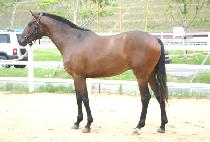 ��ɻ�� (NORYEONGSANMAEK) ����