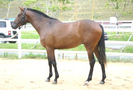 ��ɻ�� ����