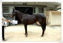 �����Բ� (NADO HAMKKE) ����