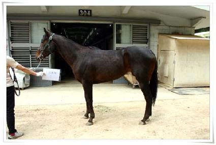 �����Բ� ����