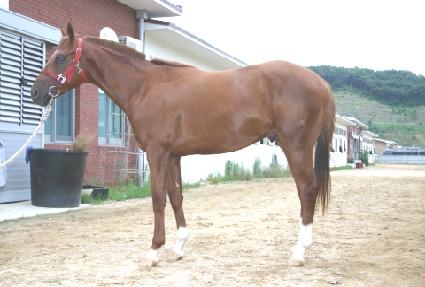 ������� ����