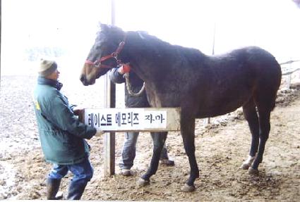 ������Żè�� ����